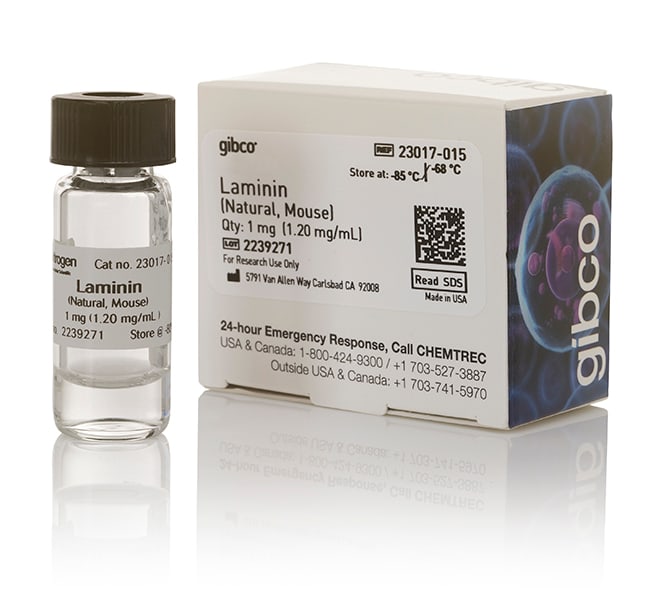 Laminin Mouse Protein, Natural